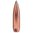 SPEER 25 CALIBER (0.257") 120GR SOFT POINT 100/BOX