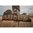 EVOLUTION OUTDOOR, LLC PRESIDENT SERIES 48" RIFLE CASE BROWN/TAN